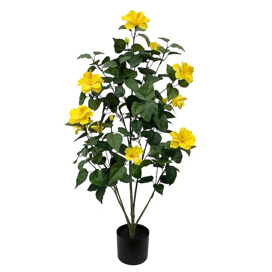 3.5ft. Potted Yellow Hibiscus Plant by Ashland&#xAE;